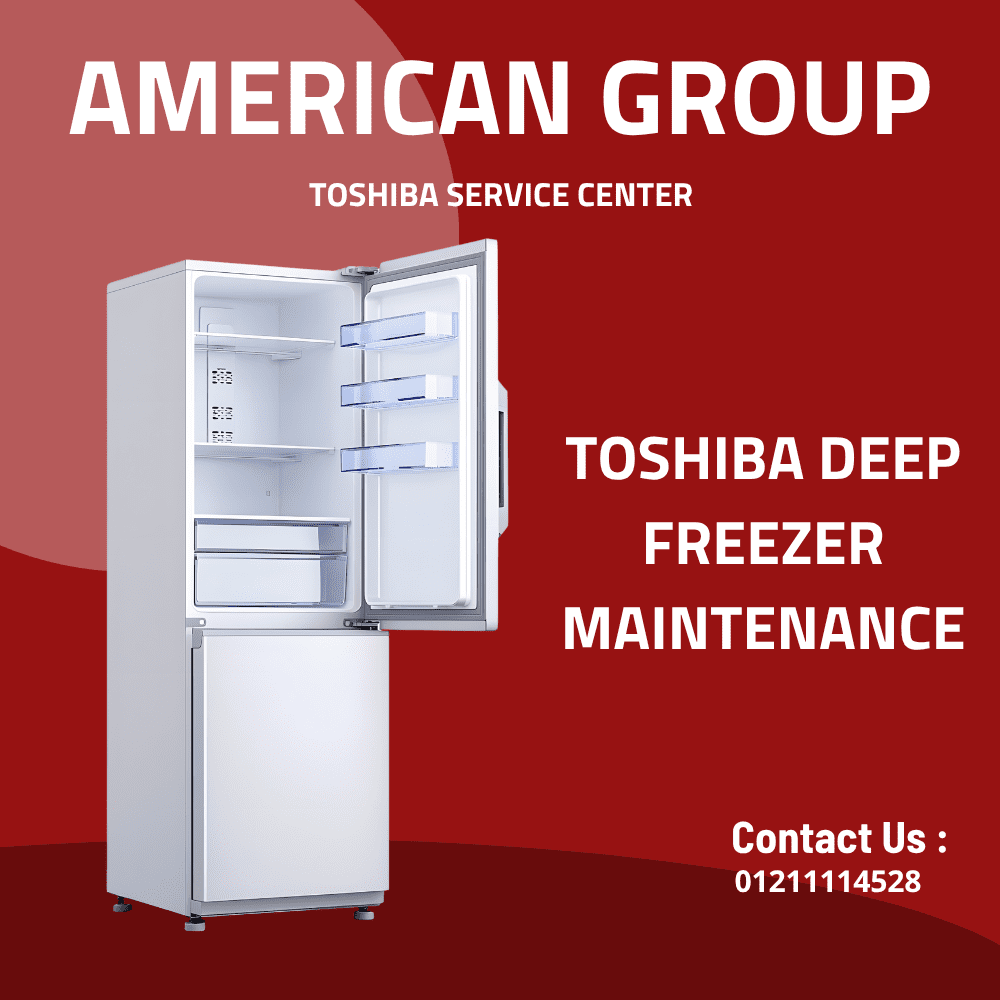 Toshiba Deep Freezer Maintenance