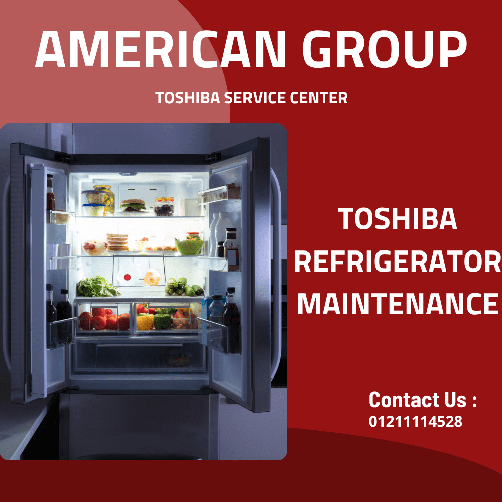 Toshiba refrigerator maintenance (1)