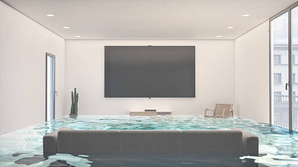 Services Offered by Toshiba Screen Maintenance Center