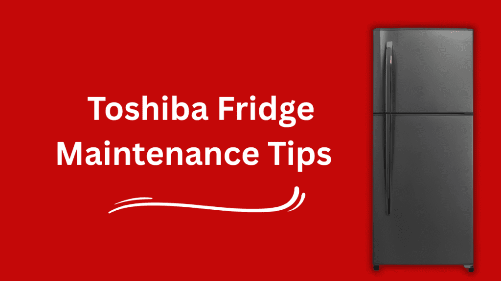 Toshiba Fridge Maintenance Tips | Cleaning & Energy Saving Guide (2025)