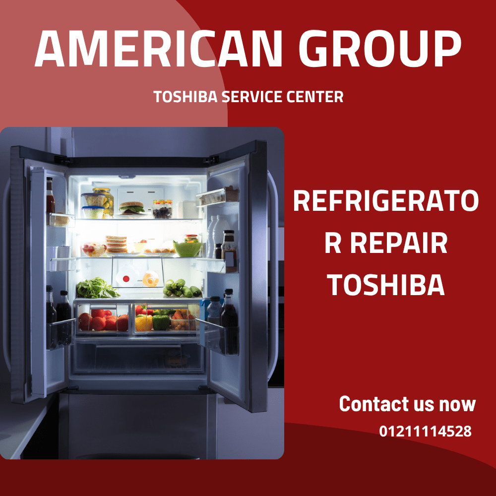 Toshiba Refrigerator Repair Service – Keep Your Fridge Running Like New