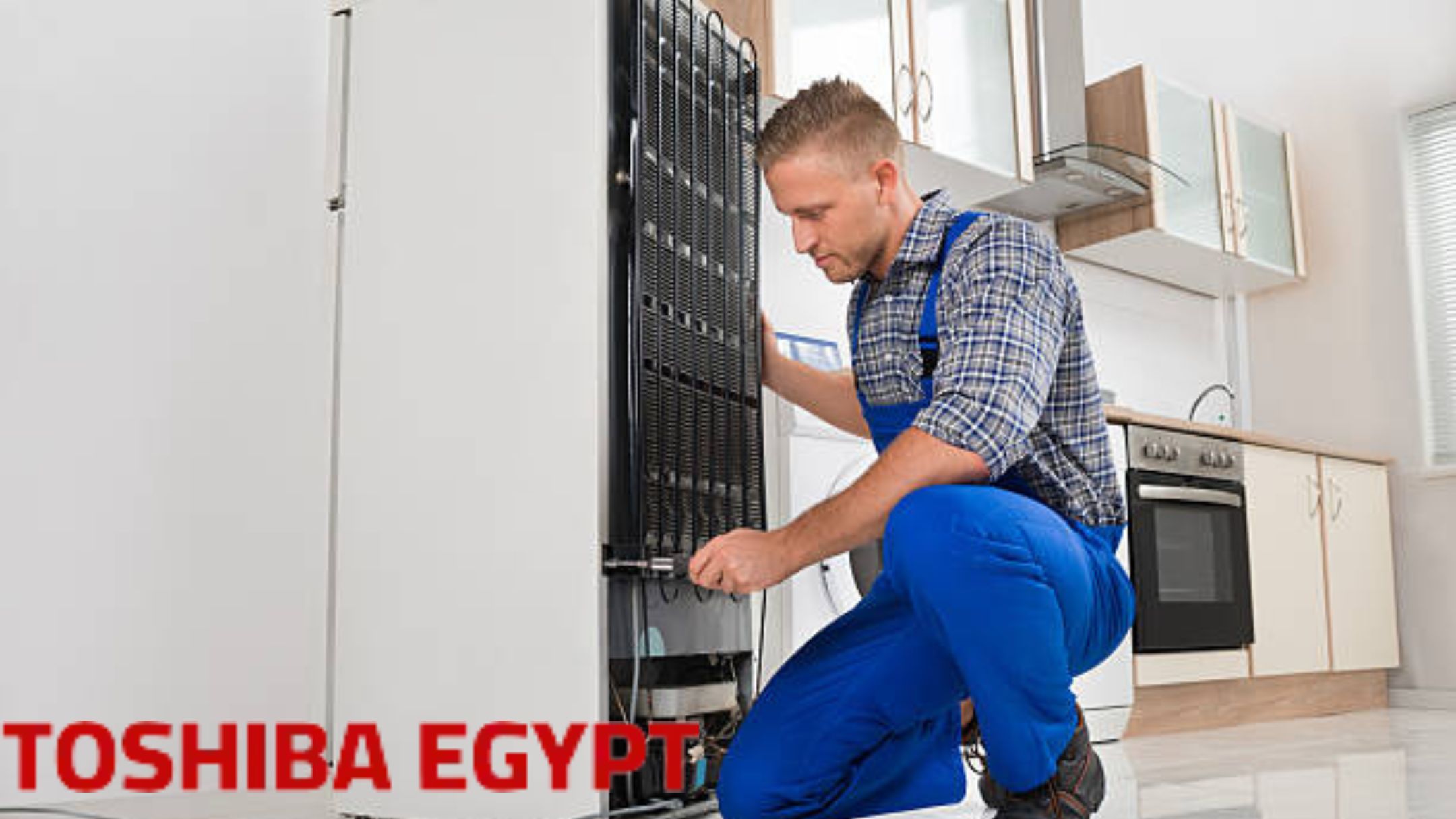 Toshiba Refrigerator Repair in Giza
